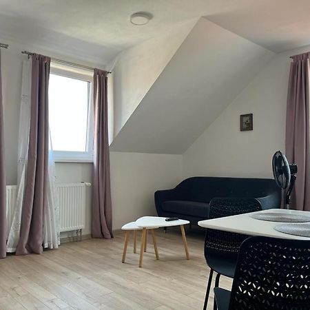 Sabina Apartaments Sfântu-Gheorghe Extérieur photo