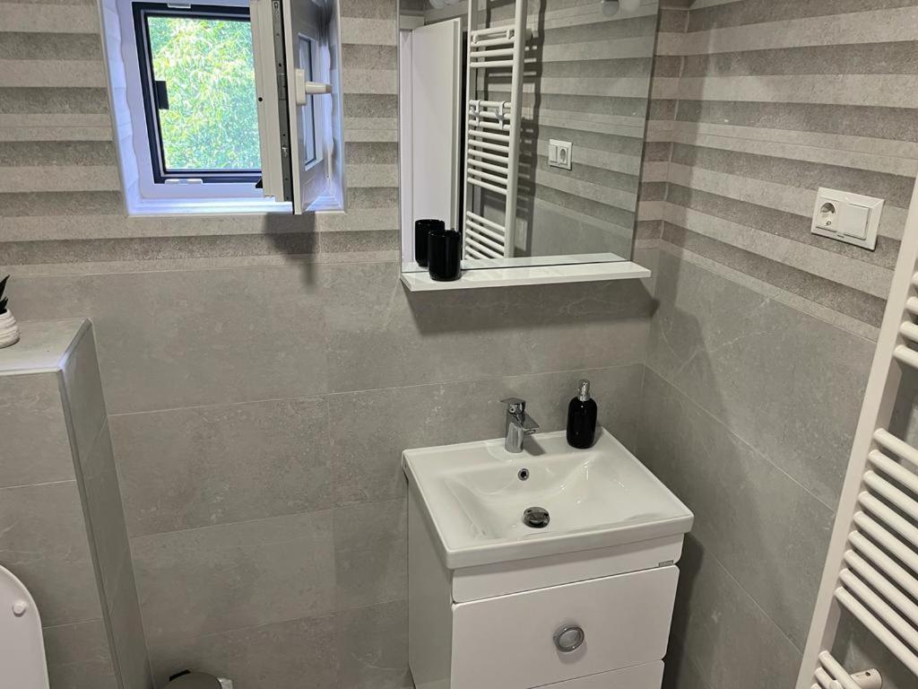 Sabina Apartaments Sfântu-Gheorghe Extérieur photo