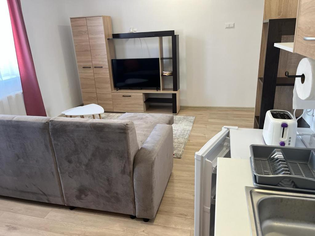 Sabina Apartaments Sfântu-Gheorghe Extérieur photo