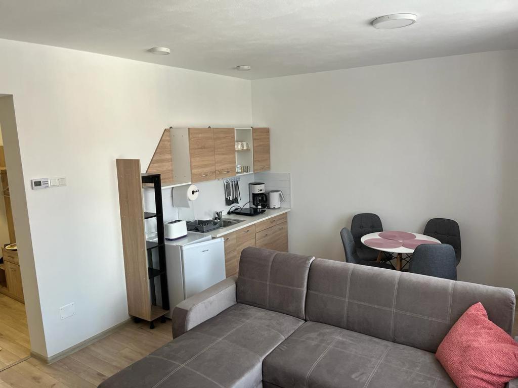 Sabina Apartaments Sfântu-Gheorghe Extérieur photo