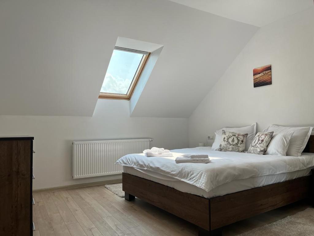 Sabina Apartaments Sfântu-Gheorghe Extérieur photo