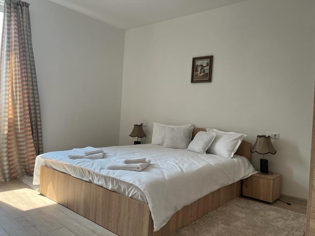Sabina Apartaments Sfântu-Gheorghe Extérieur photo