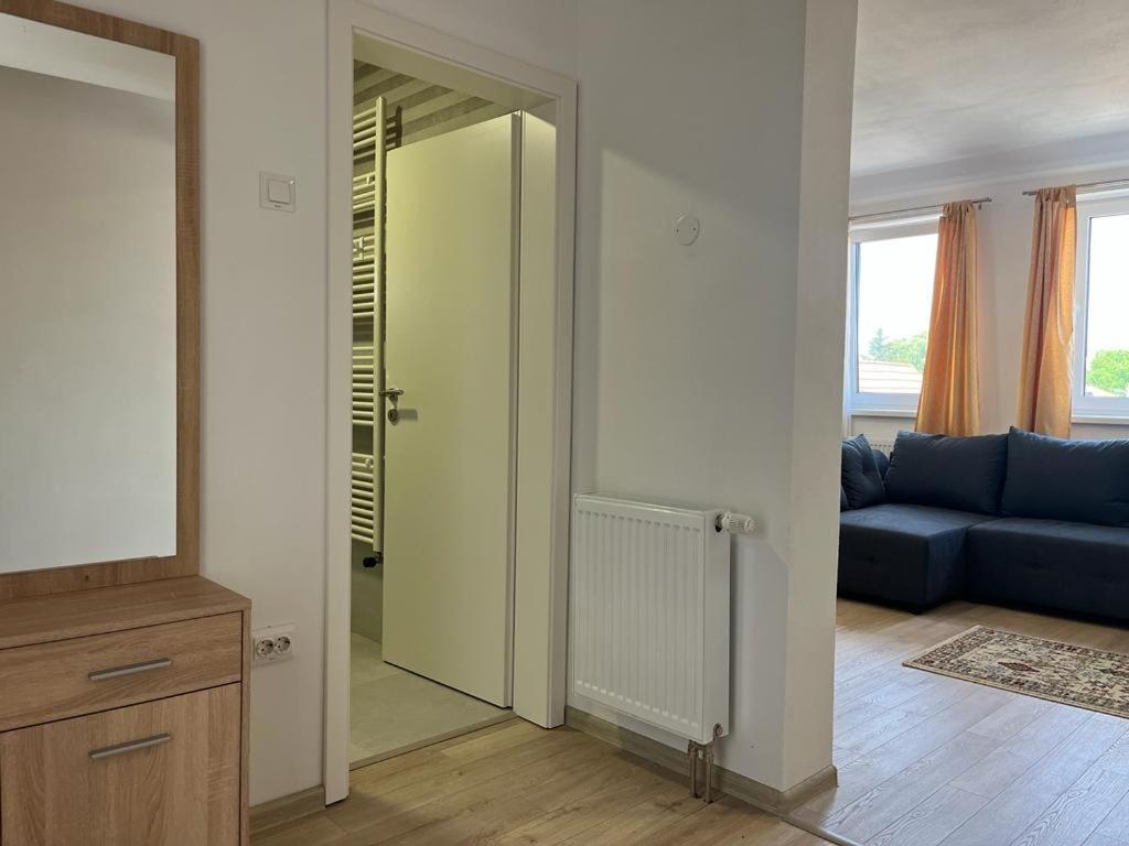 Sabina Apartaments Sfântu-Gheorghe Extérieur photo