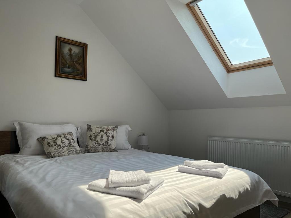 Sabina Apartaments Sfântu-Gheorghe Extérieur photo