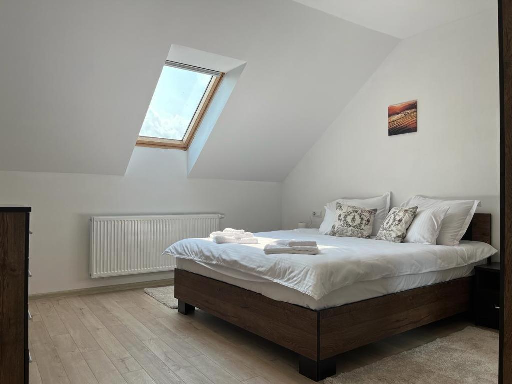 Sabina Apartaments Sfântu-Gheorghe Extérieur photo