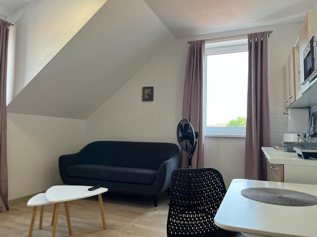 Sabina Apartaments Sfântu-Gheorghe Extérieur photo