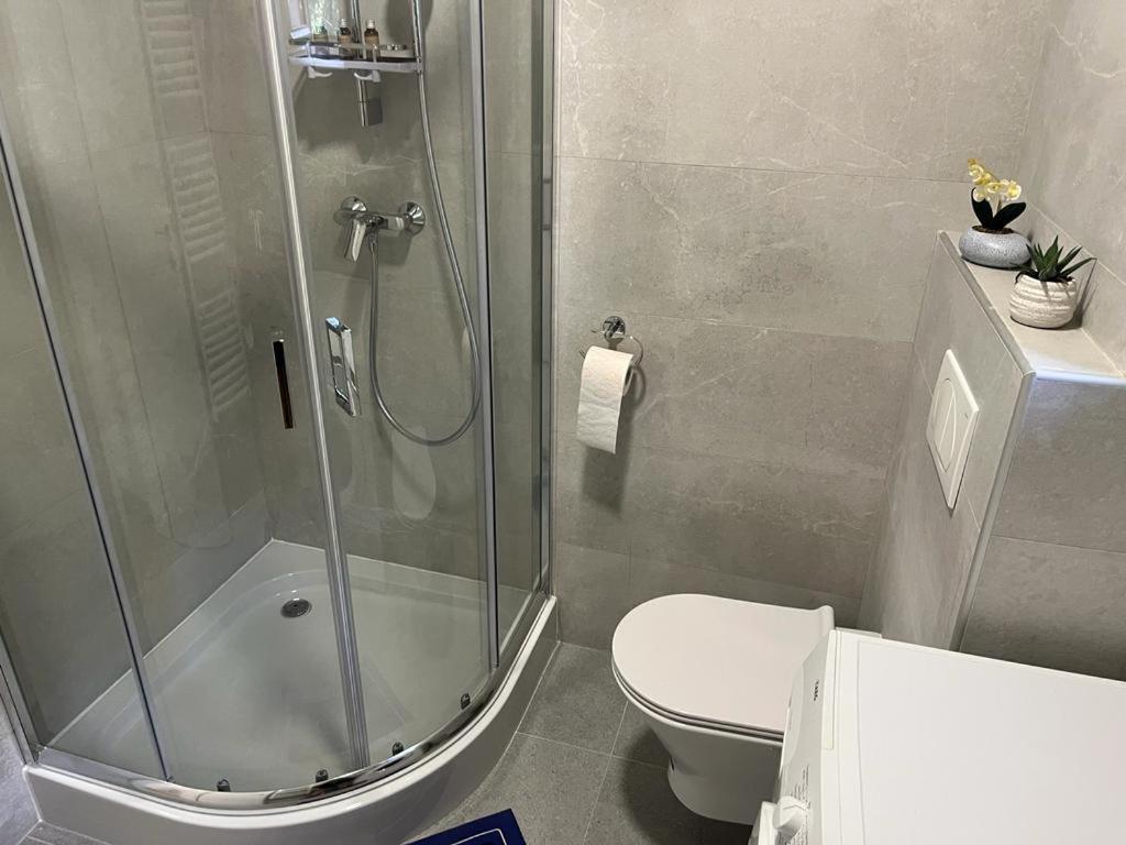 Sabina Apartaments Sfântu-Gheorghe Extérieur photo