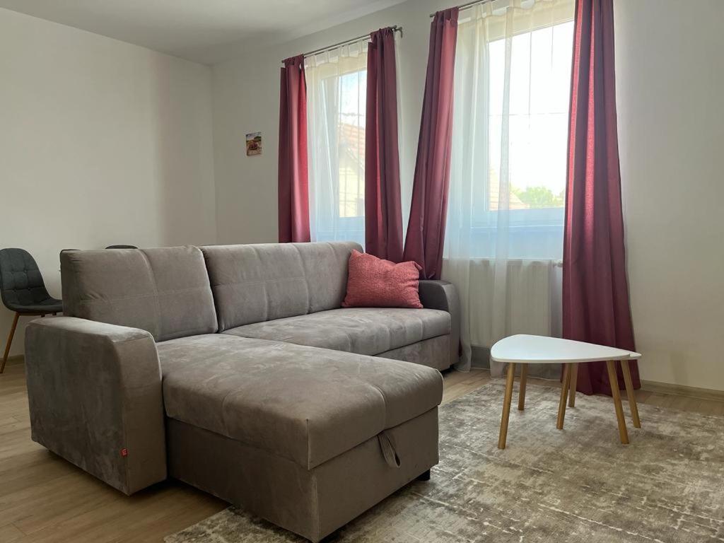 Sabina Apartaments Sfântu-Gheorghe Extérieur photo