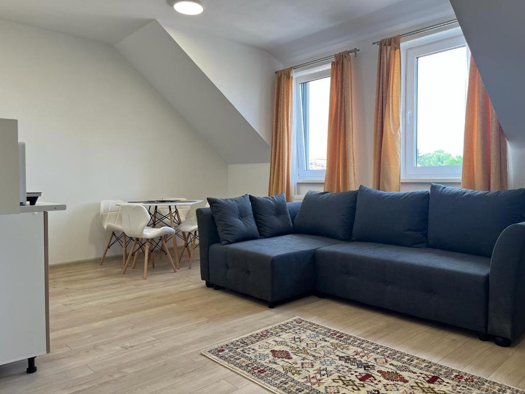 Sabina Apartaments Sfântu-Gheorghe Extérieur photo