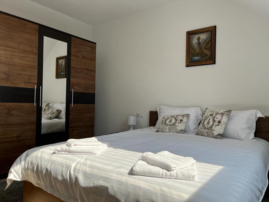 Sabina Apartaments Sfântu-Gheorghe Extérieur photo